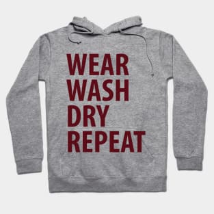 Wear Wash Dry Repeat Hoodie